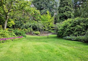 Optimiser l'expérience du jardin à Saint-Leonard-en-Beauce
